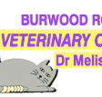 Burwood Road Vet Clinic - Sydney Vets
