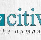 Centennial Park Veterinary Hospital - Sydney Vets