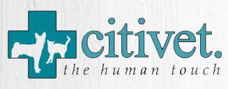 Centennial Park Veterinary Hospital - Sydney Vets 0