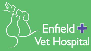 Burwood Heights NSW Sydney Vets