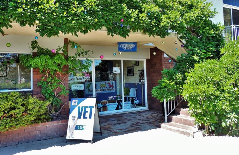 Weetangera ACT Sydney Vets