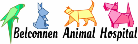 Belconnen Animal Hospital - Sydney Vets 1