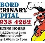 Harbord Veterinary Hospital - Sydney Vets