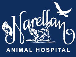 Narellan Animal Hospital - Sydney Vets 0