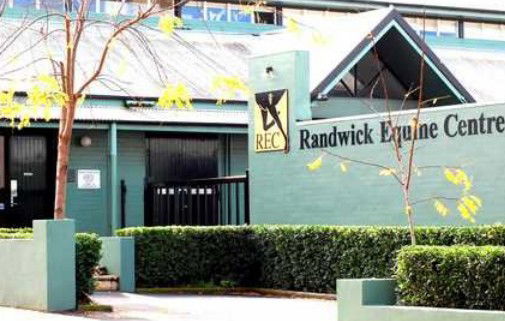 Randwick NSW Sydney Vets