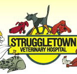 Struggletown Veterinary Hospital - Sydney Vets