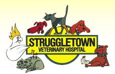Struggletown Veterinary Hospital - Sydney Vets 0
