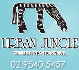 Urban Jungle Vet Hospital - Sydney Vets 0