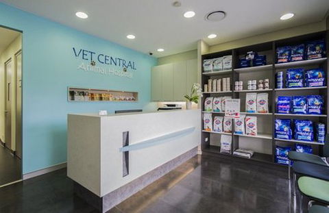 Vet Central Animal Hospital - Sydney Vets 1