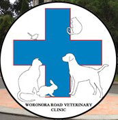 Waterfall NSW Sydney Vets