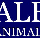 Albert Animal Hospital - Sydney Vets