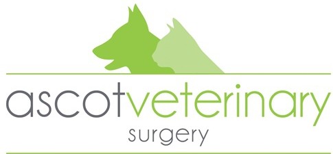 Ascot QLD Sydney Vets