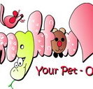 Brighton Veterinary Surgery - Sydney Vets