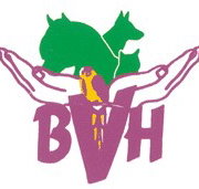 Burpengary Veterinary Hospital - Sydney Vets