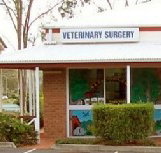 Cusack Lane Veterinary Surgery - Sydney Vets