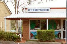Cusack Lane Veterinary Surgery - Sydney Vets 0