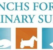 Frenchs Forest Veterinary Surgery - Sydney Vets
