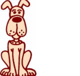 All Creatures Veterinary Hospital - Sydney Vets