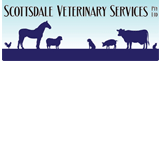 Scottsdale Veterinary Services Pty Ltd - Sydney Vets
