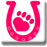 North West Animal Hospital  Clinic - Sydney Vets