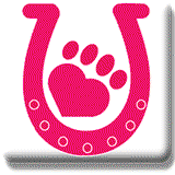 North West Animal Hospital & Clinic - Sydney Vets 0
