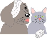 Rosny Park TAS Sydney Vets