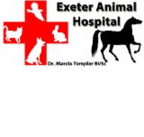 Exeter Animal Hospital - Sydney Vets