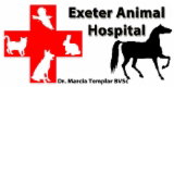 Exeter Animal Hospital - Sydney Vets 0