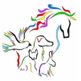 Book Lebrina Accommodation Vacations Sydney Vets Sydney Vets