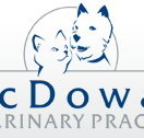 McDowall Veterinary Practice - Sydney Vets