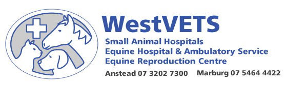 Anstead QLD Sydney Vets