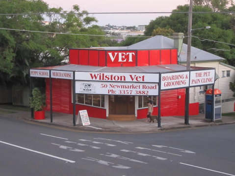 Wilston Vet - Sydney Vets 1