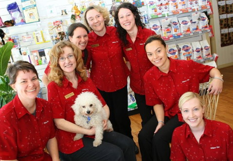 Wilston Vet - Sydney Vets 2