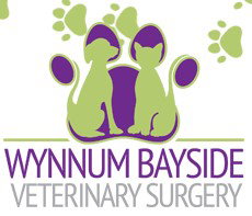 Wynnum Bayside Veterinary Surgery - Sydney Vets 1