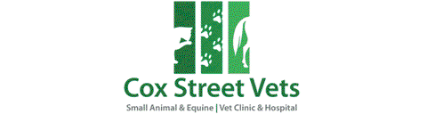 Cox Street Vets - Sydney Vets 0