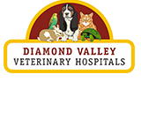 Eltham Central Veterinary Hospital - Sydney Vets