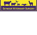 Seymour Veterinary Surgery - Sydney Vets