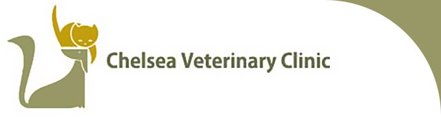 Edithvale VIC Sydney Vets