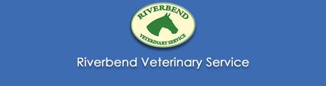 Willurah NSW Sydney Vets