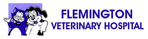 Flemington Veterinary Hospital - Sydney Vets 0