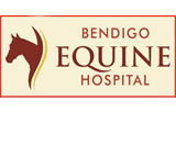 Bendigo Equine Hospital - Sydney Vets