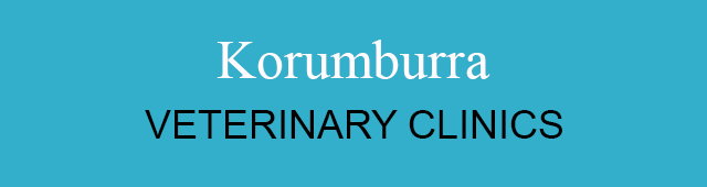 Korumburra VIC Sydney Vets