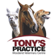 Tony's Practice Woodend - Sydney Vets