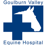 Goulburn Valley Equine Hospital - Sydney Vets