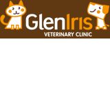 Glen Iris Veterinary Clinic - thumb 0