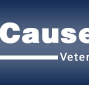 The Causeway Veterinary Clinic - Sydney Vets