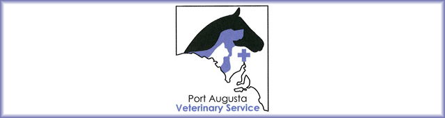 William Creek SA Sydney Vets