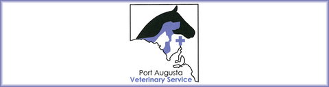 Port Augusta Veterinary Services - Sydney Vets 0