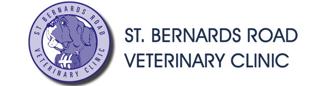Teringie SA Sydney Vets