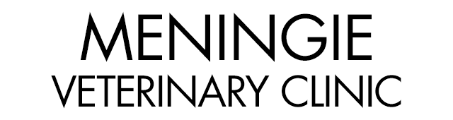 Meningie Veterinary Clinic - Sydney Vets
